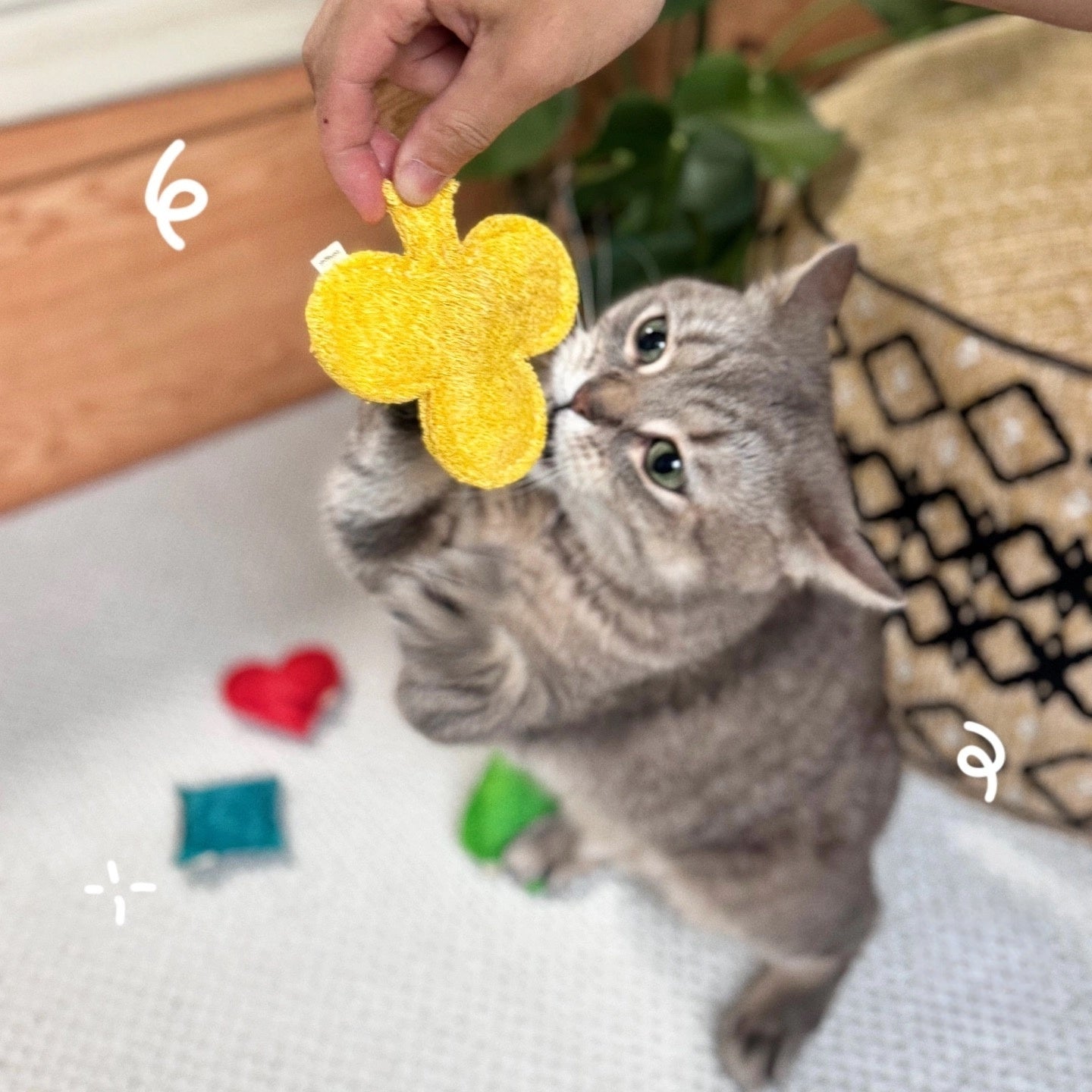 Organic Loofah Cat Toys – Natural Eco-Friendly Play Set (Set of 4)