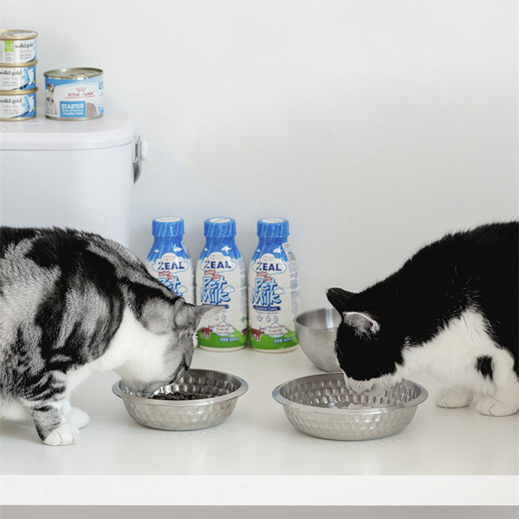 Stainless Steel Cat Food Bowl