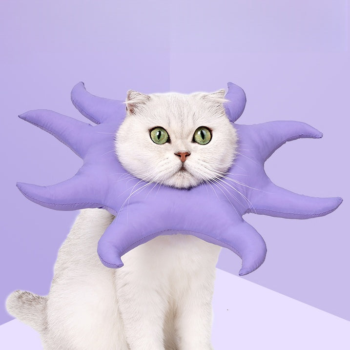 Starfish Plush Cat Costume Collar