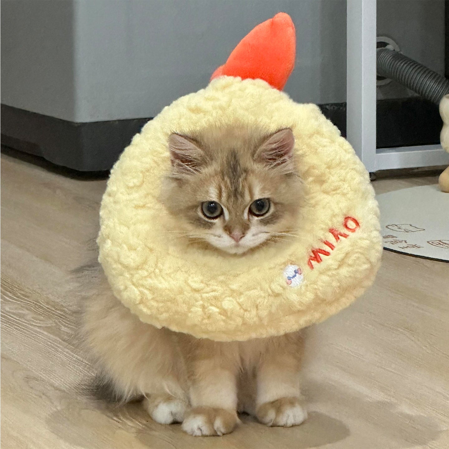 Tempura Plush Cat Costume Collar