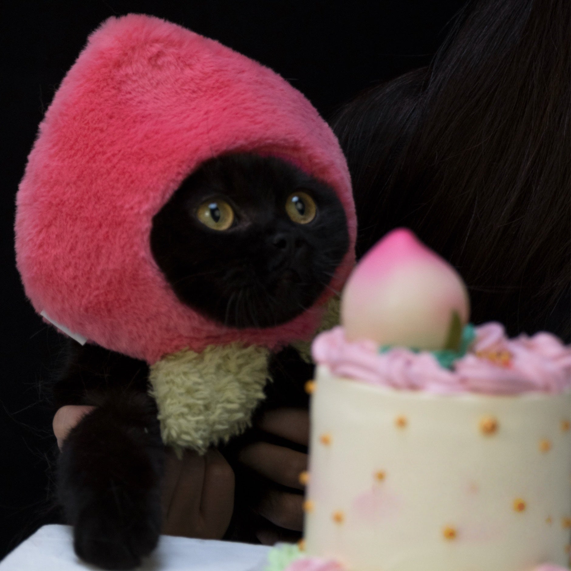 PeachPaw Cat Costume Hat