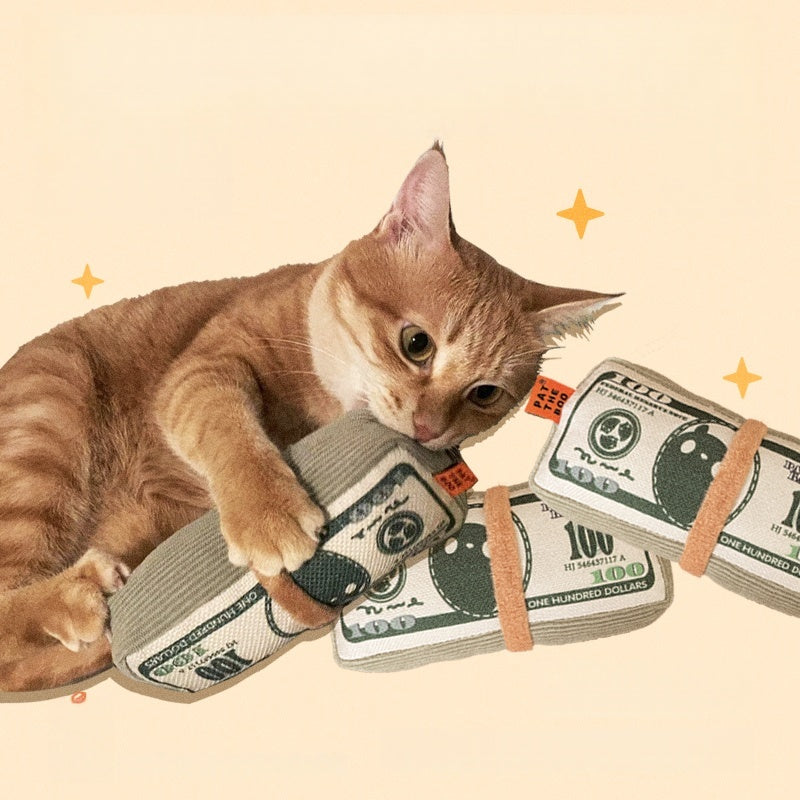 Money Roll Catnip Toy
