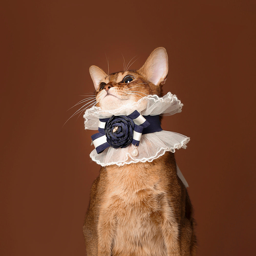 Navy Rose Lace Cat Collar – Victorian Ruffle Style