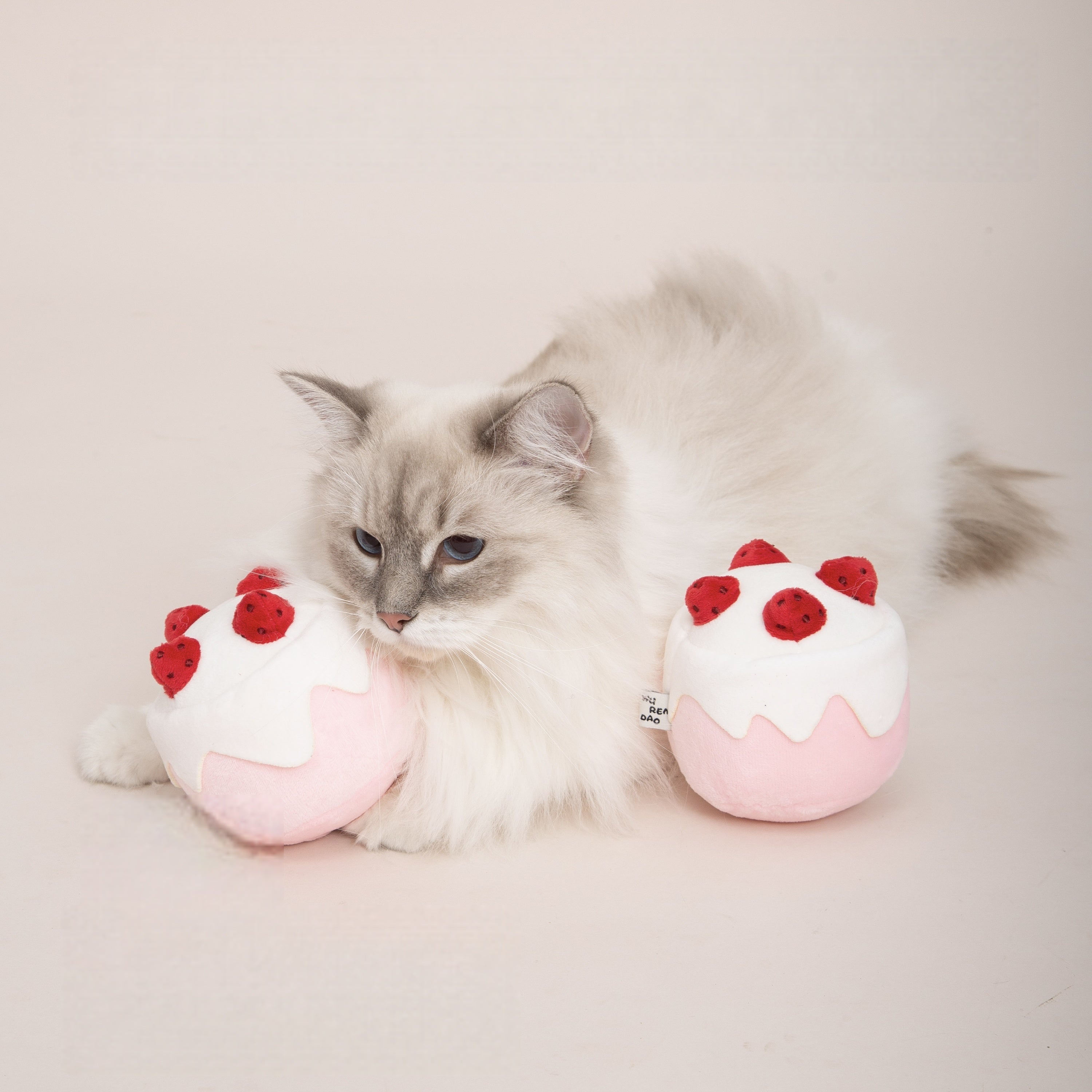 Gateau Catnip Toy – Strawberry Cake Plush for Cats