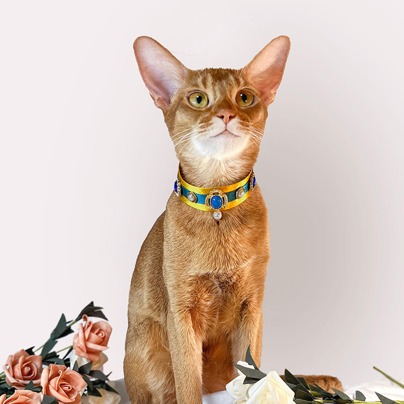 Pharaoh Cat Collar