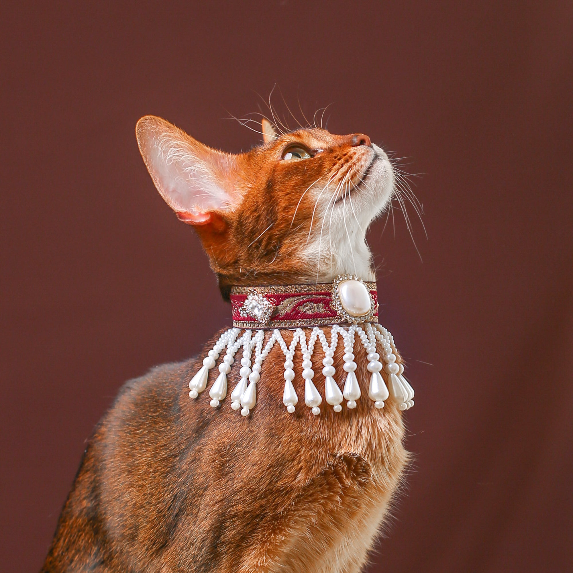 Royal Pearl Tassel Cat Collar