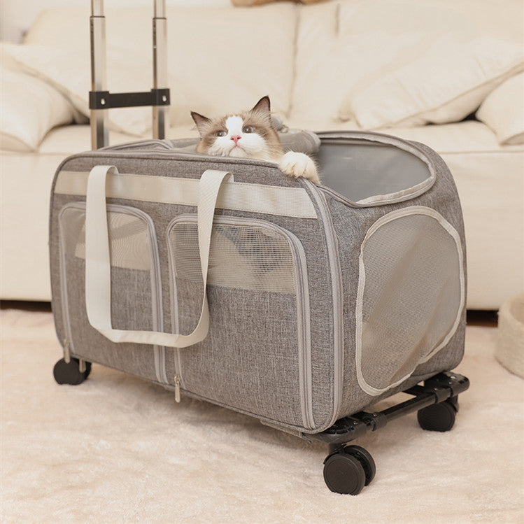 Dual-Compartment Rolling Cat Travel Carrier