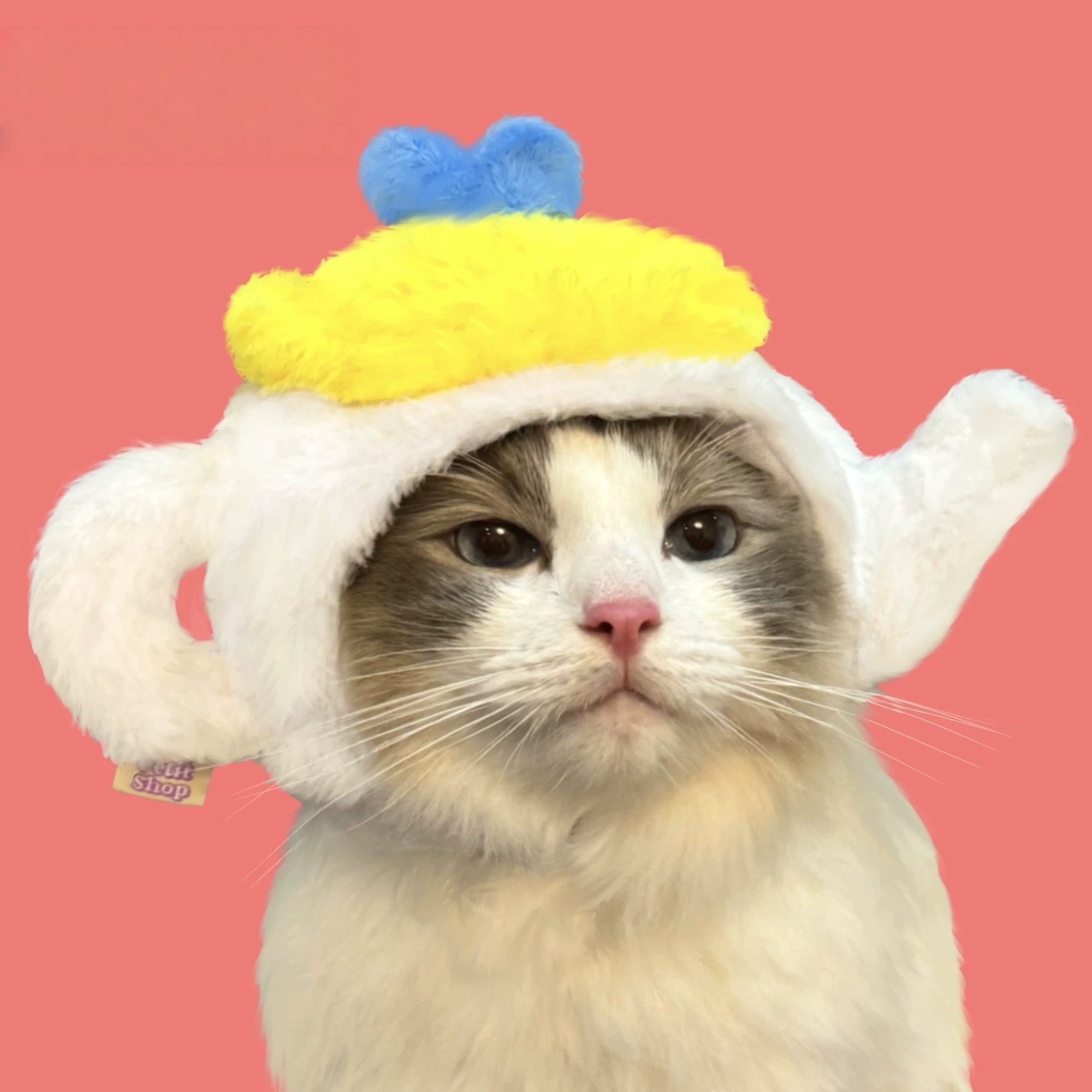 TeaPaw Teapot Pet Hat