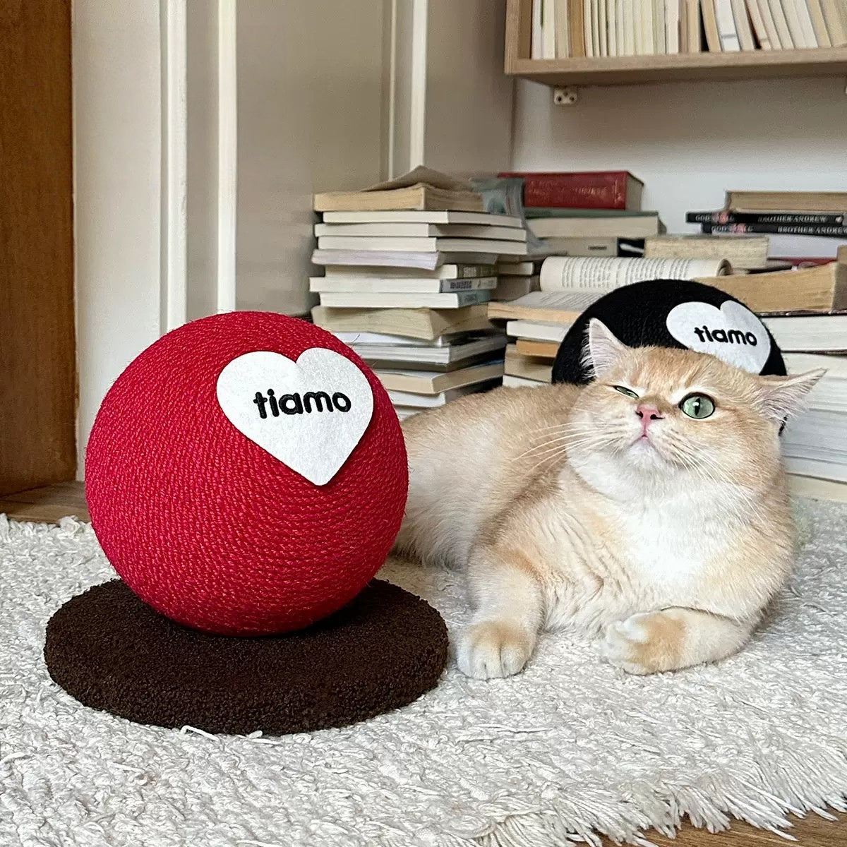 Movo Modern Cat Scratcher Ball – Stylish Design Meets Playtime Fun