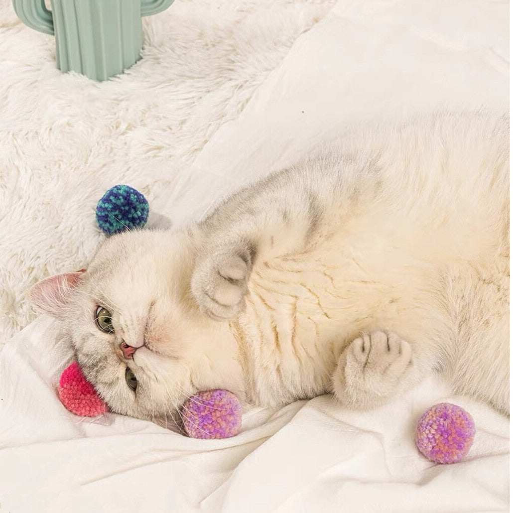 Quiet Yarn Pom-Pom Cat Toy (Set of 6) by Bigeeo