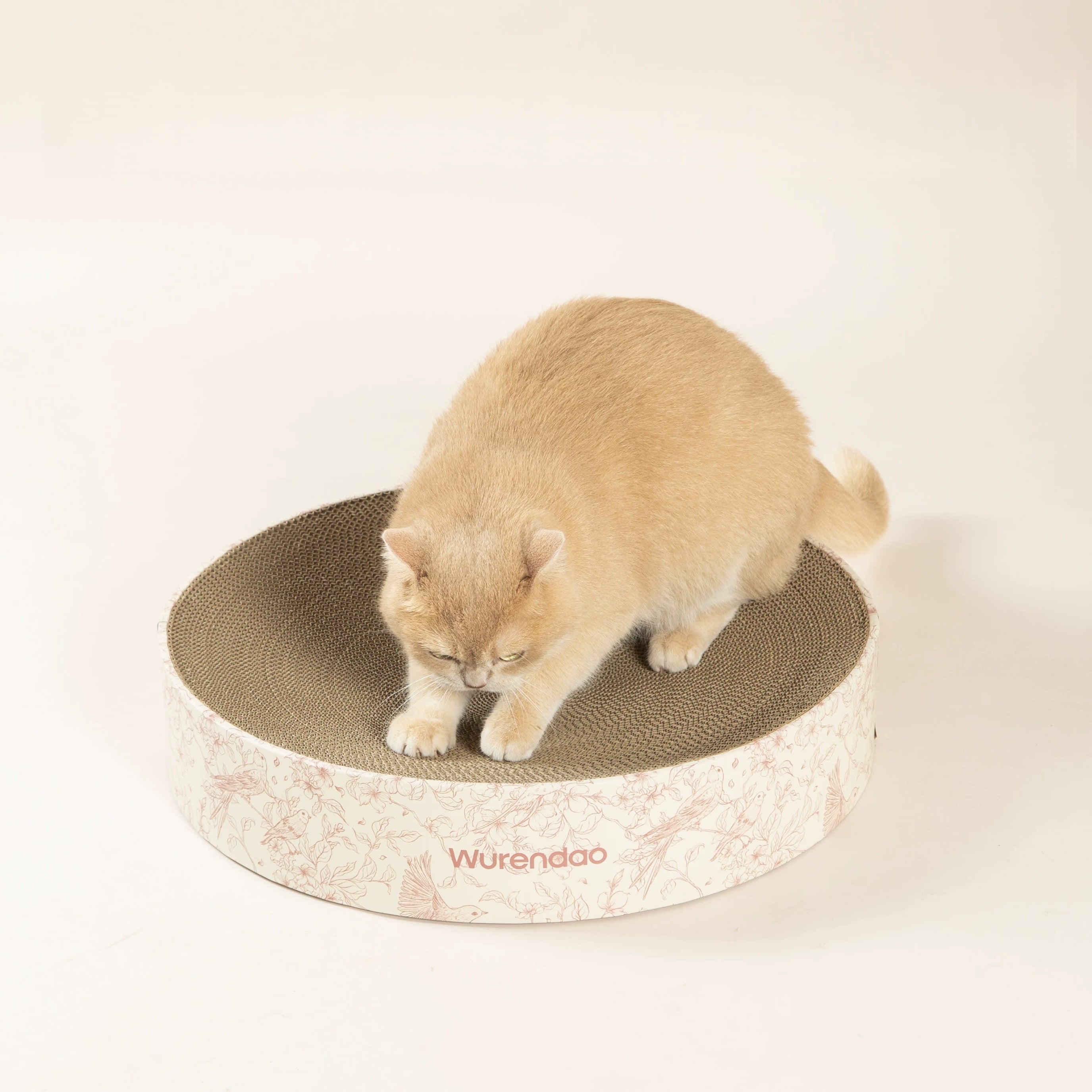 Gravo Cat Scratcher – Round Cardboard Scratch Pad for Happy Cats