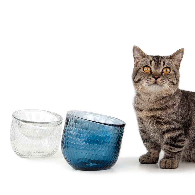 Artisan Tilted Glass Pet Bowl cat bowl by Bigeeo – photo 4