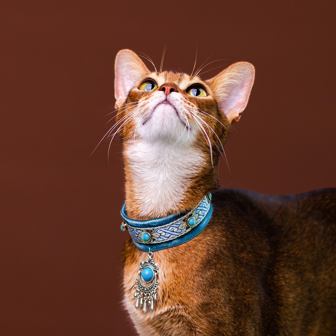 Royal Blue Gem Cat Collar – Vintage Boho Style
