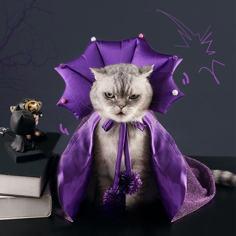 Cat Halloween Costume Set – Wizard Hat & Cape