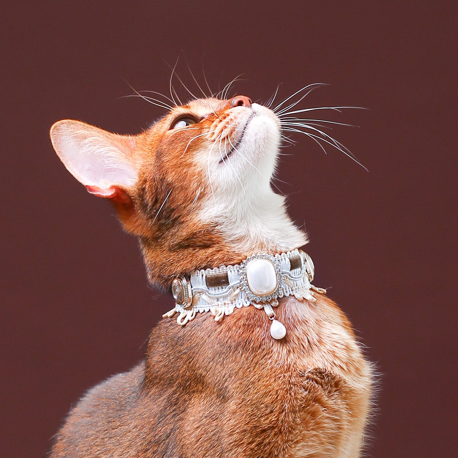 Cat Pearl Victorian Collar