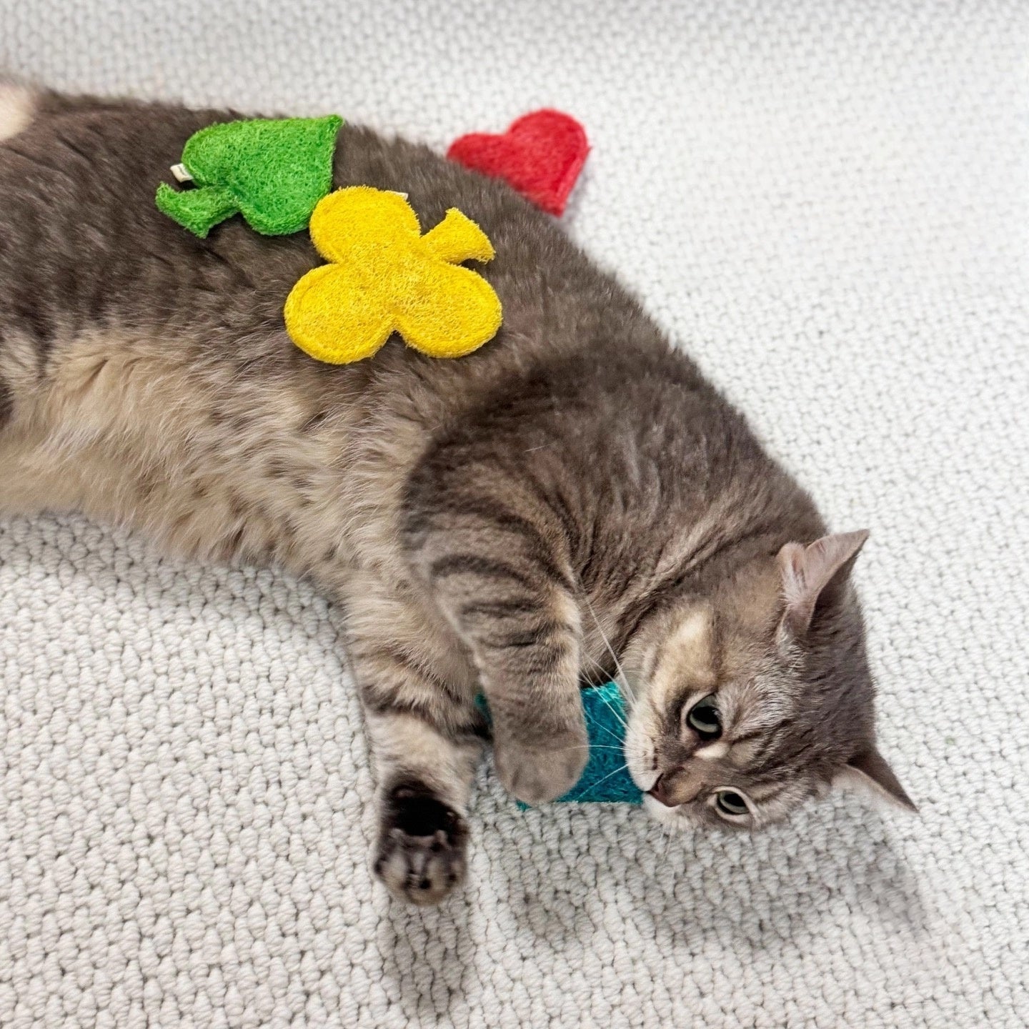Organic Loofah Cat Toys – Natural Eco-Friendly Play Set (Set of 4)