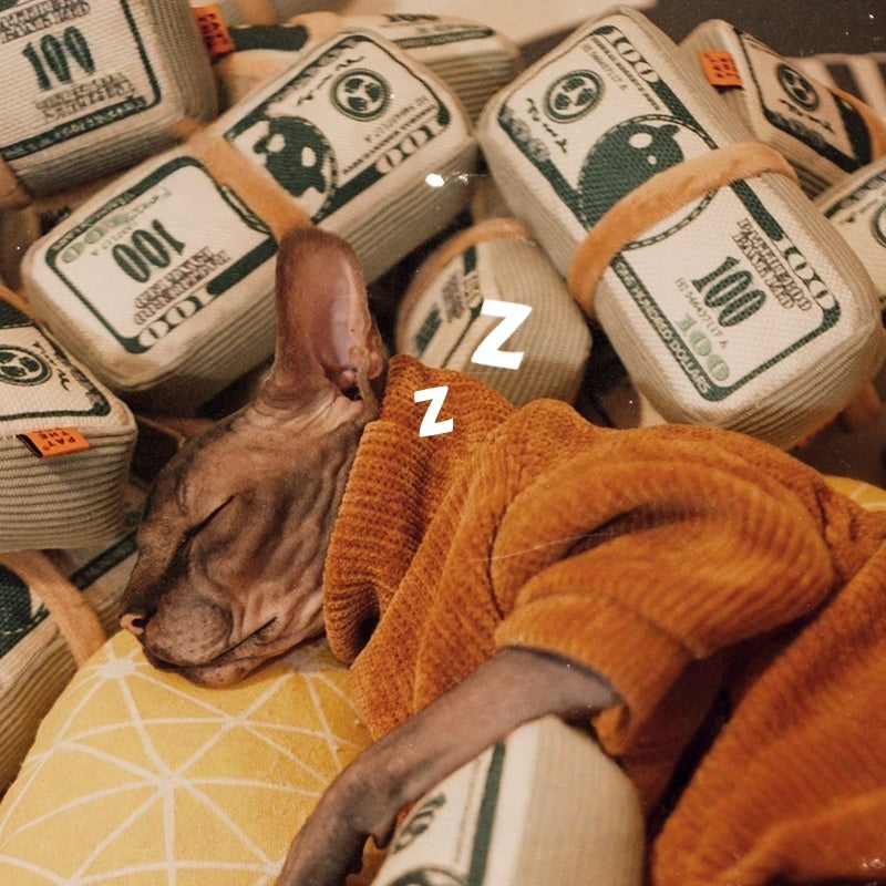 Money Roll Catnip Toy