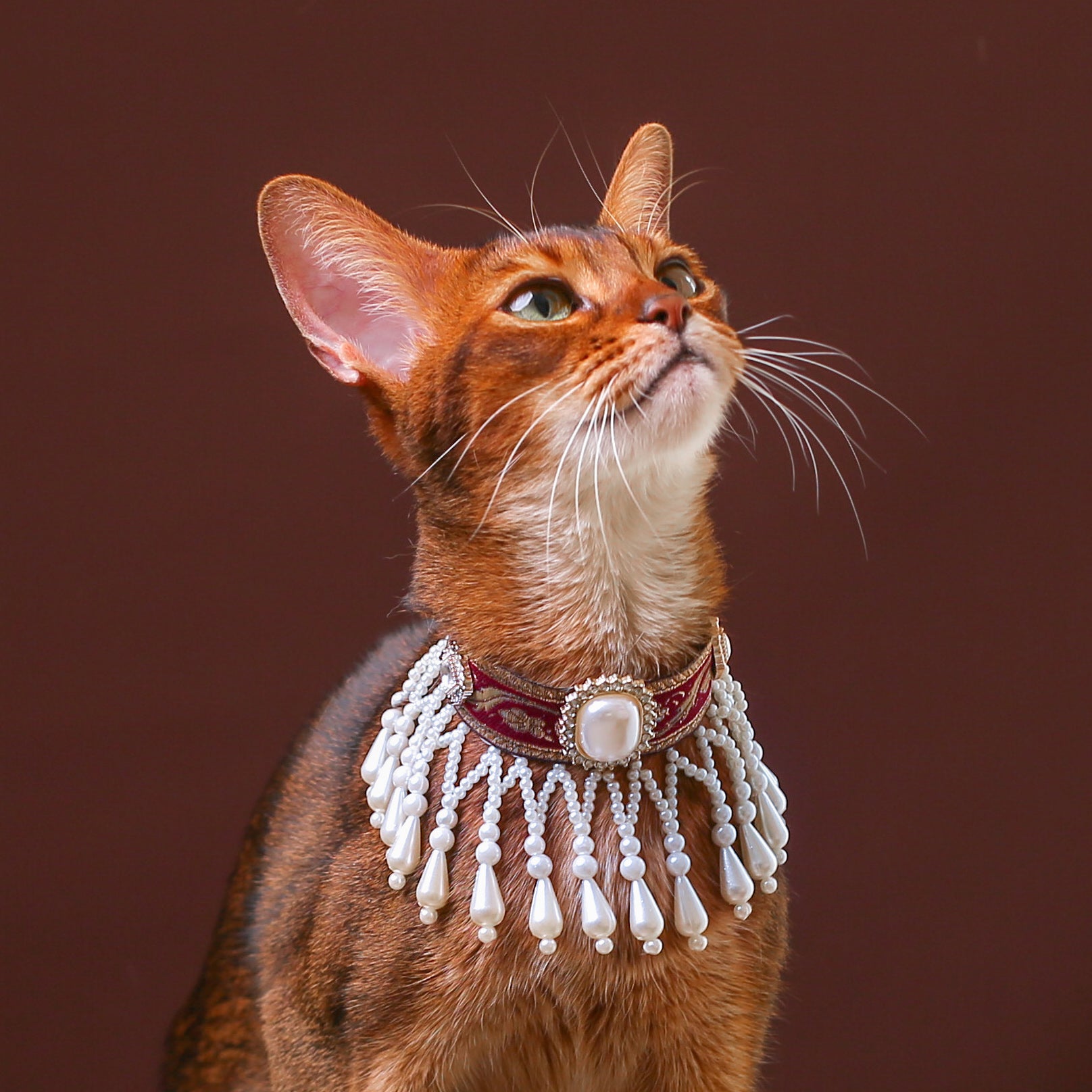 Royal Pearl Tassel Cat Collar