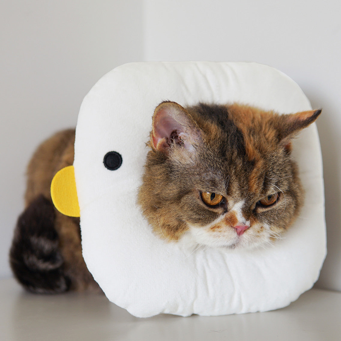 Duck Soft Adjustable Elizabeth Recovery Collar for Cats