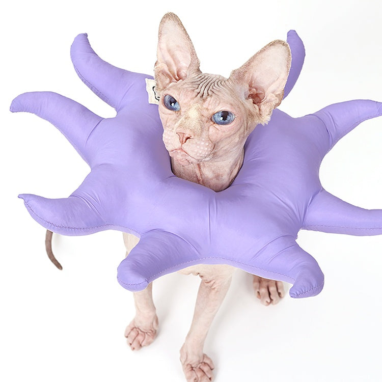 Starfish Plush Cat Costume Collar