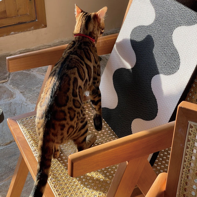 Modern Wave Cat Scratcher Board