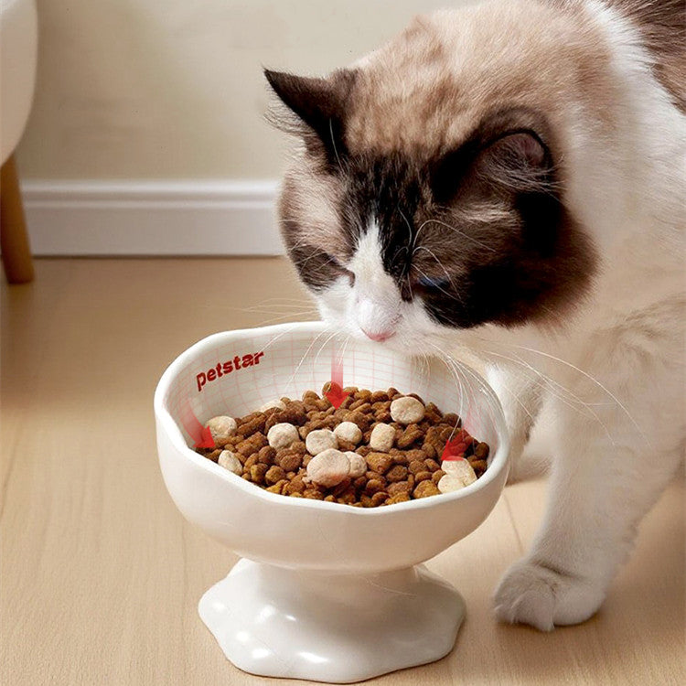 Ceramic Elevated Cat Bowl by Bigeeo