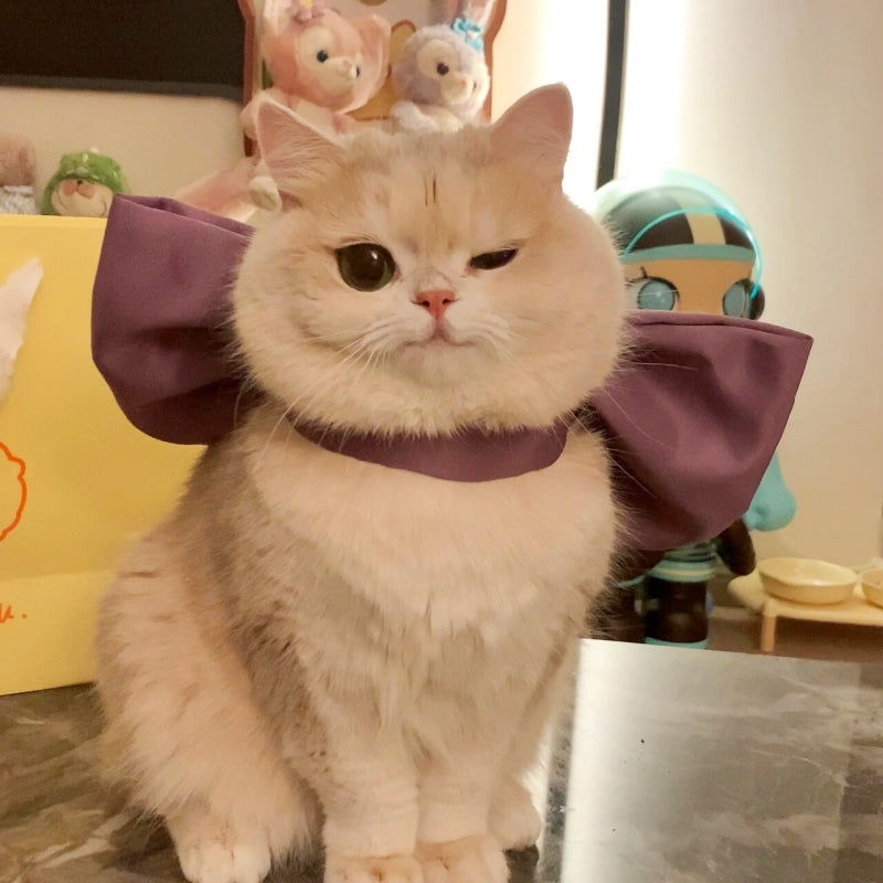 Cat Bow Collar – Elegant Satin Ribbon