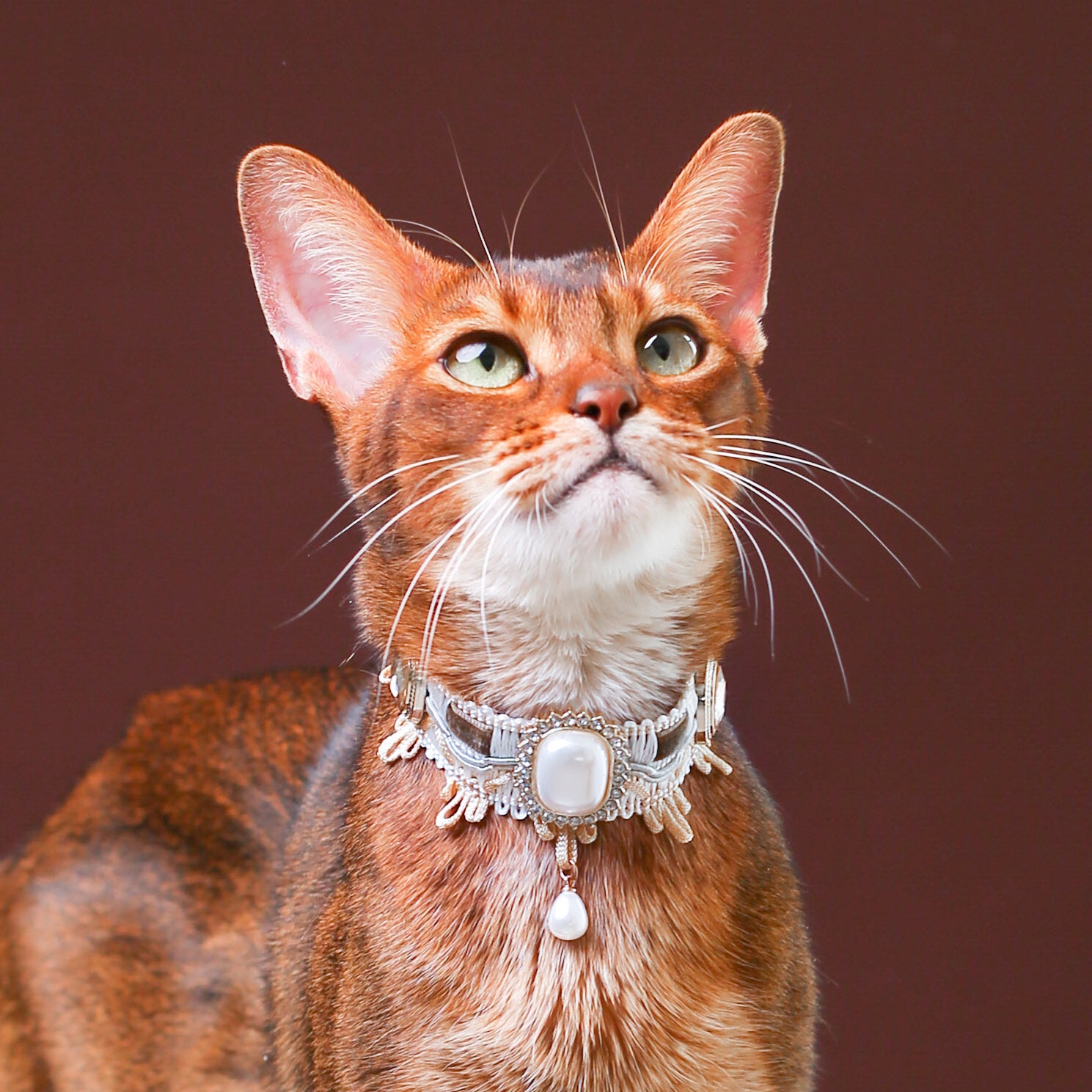 Cat Pearl Victorian Collar