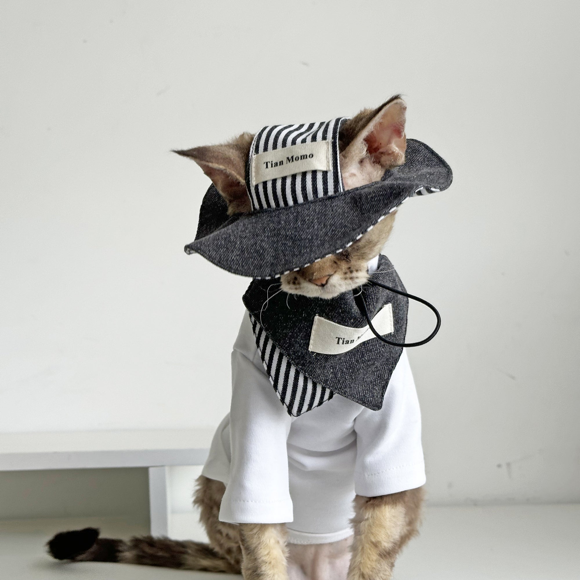 Cat Sun Hat & Bandana Set – Striped Fashion Outfit