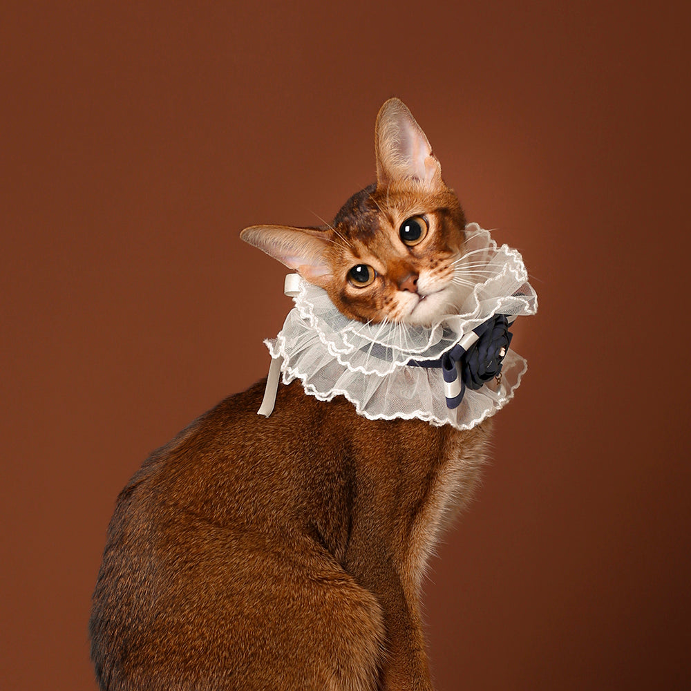 Navy Rose Lace Cat Collar – Victorian Ruffle Style