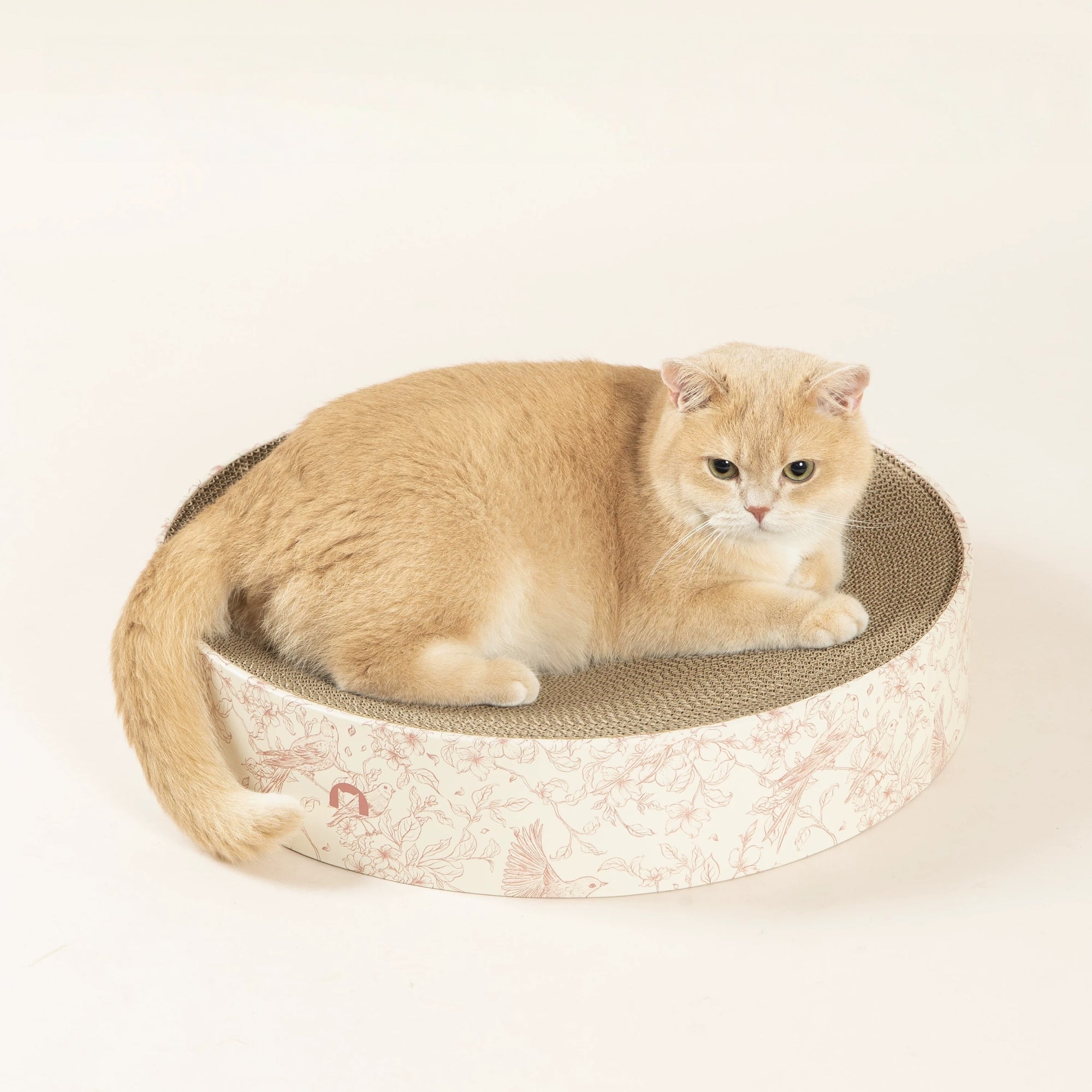 Gravo Cat Scratcher – Round Cardboard Scratch Pad for Happy Cats