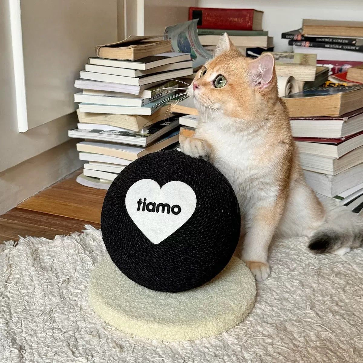 Movo Modern Cat Scratcher Ball – Stylish Design Meets Playtime Fun