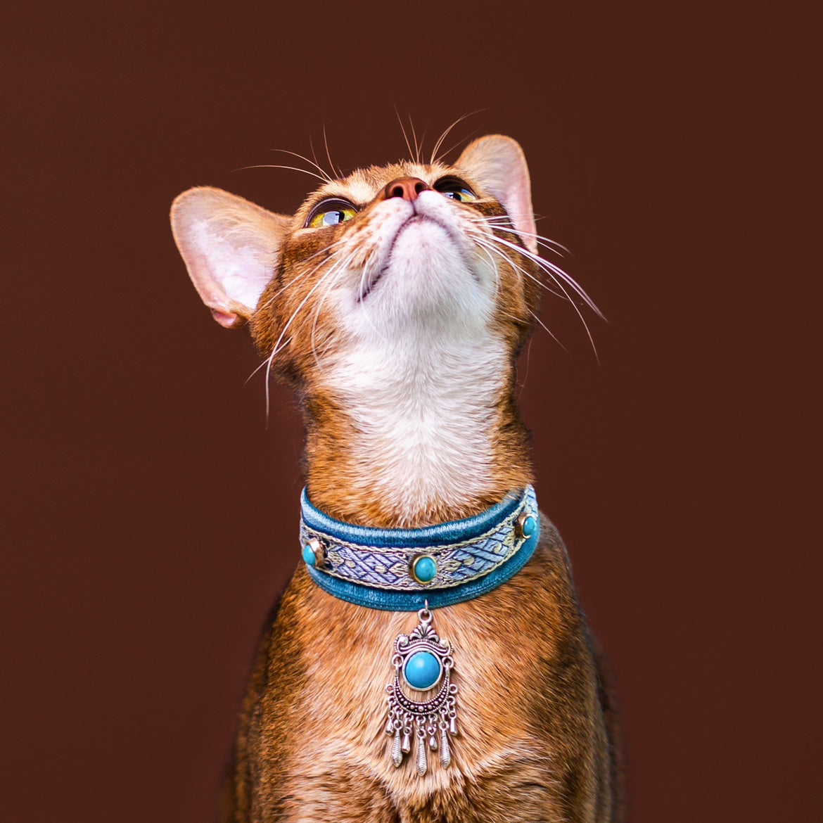 Royal Blue Gem Cat Collar – Vintage Boho Style