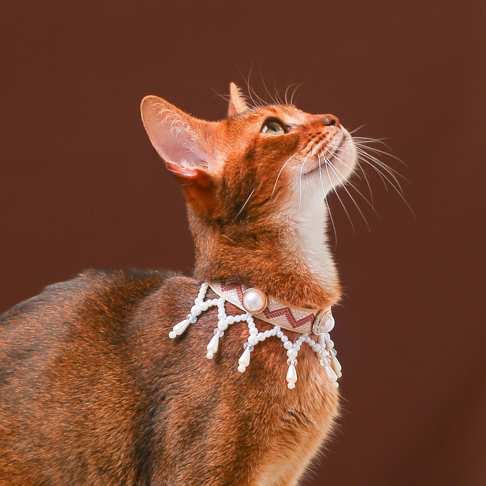 Pearl Princess Cat Collar – Regal Vintage Style