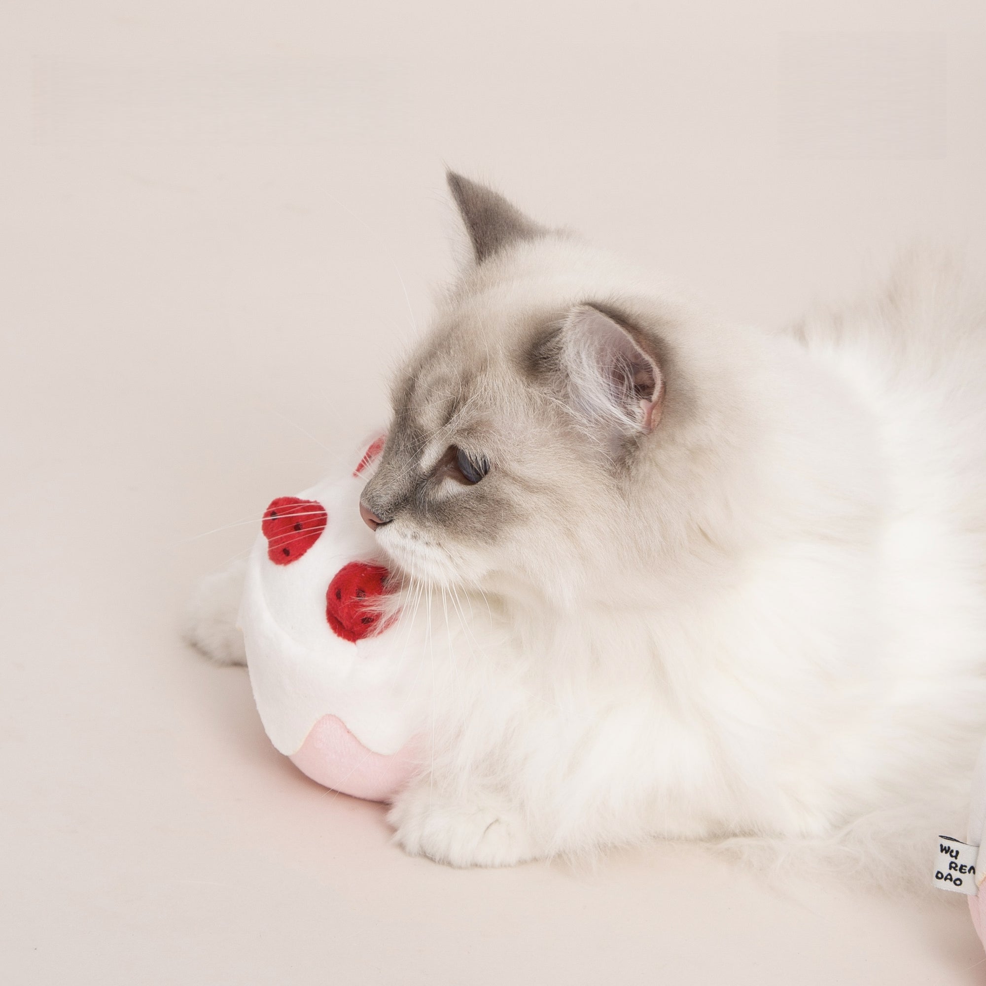 Gateau Catnip Toy – Strawberry Cake Plush for Cats