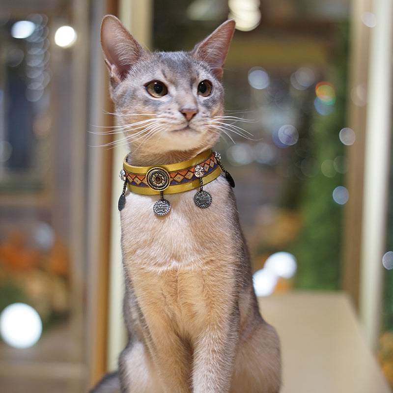Egyptian Charm Cat Collar
