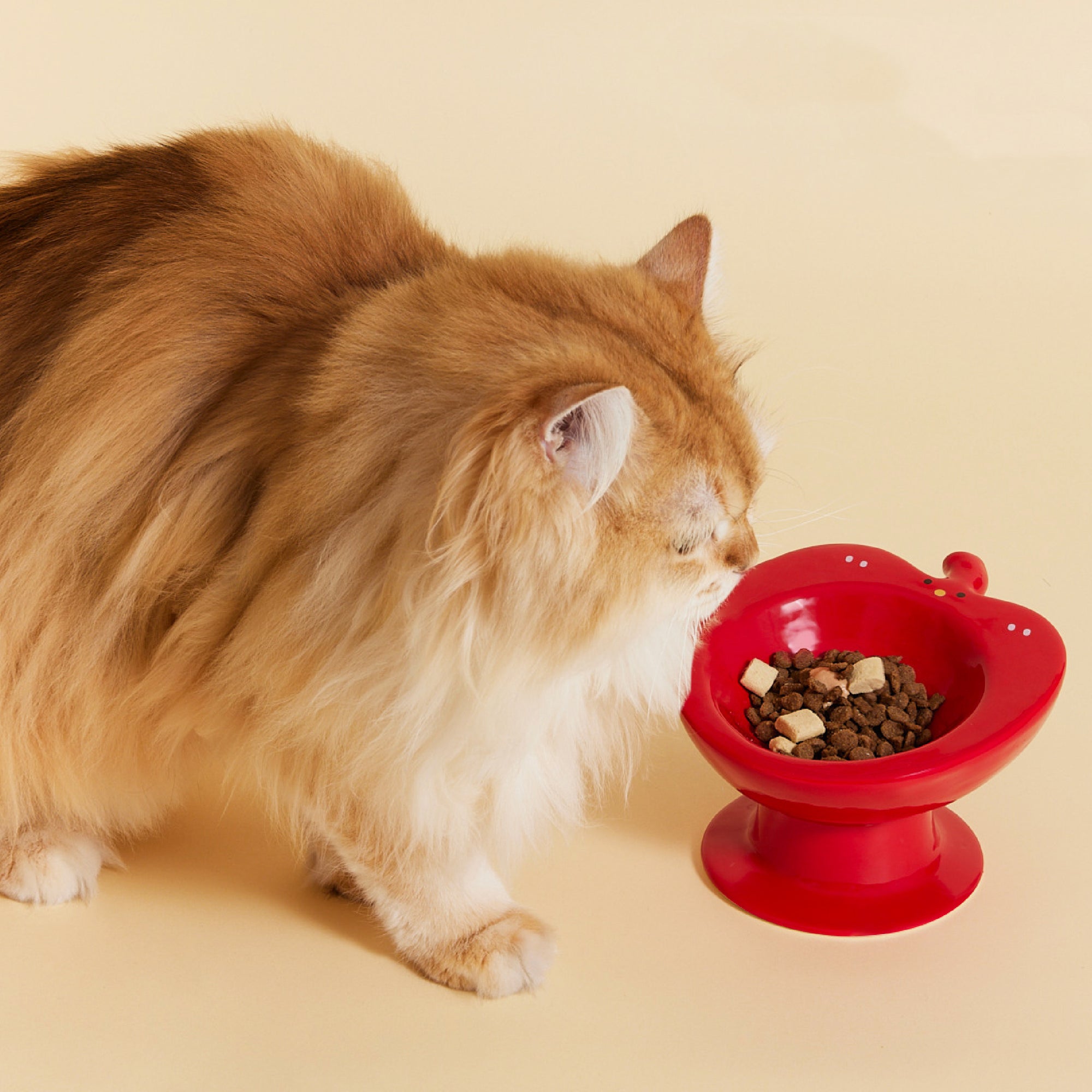 Apple Ceramic Cat Bowl – Elevated Anti-Spill Neck-Protection Feeder by Bigeeo – photo 2