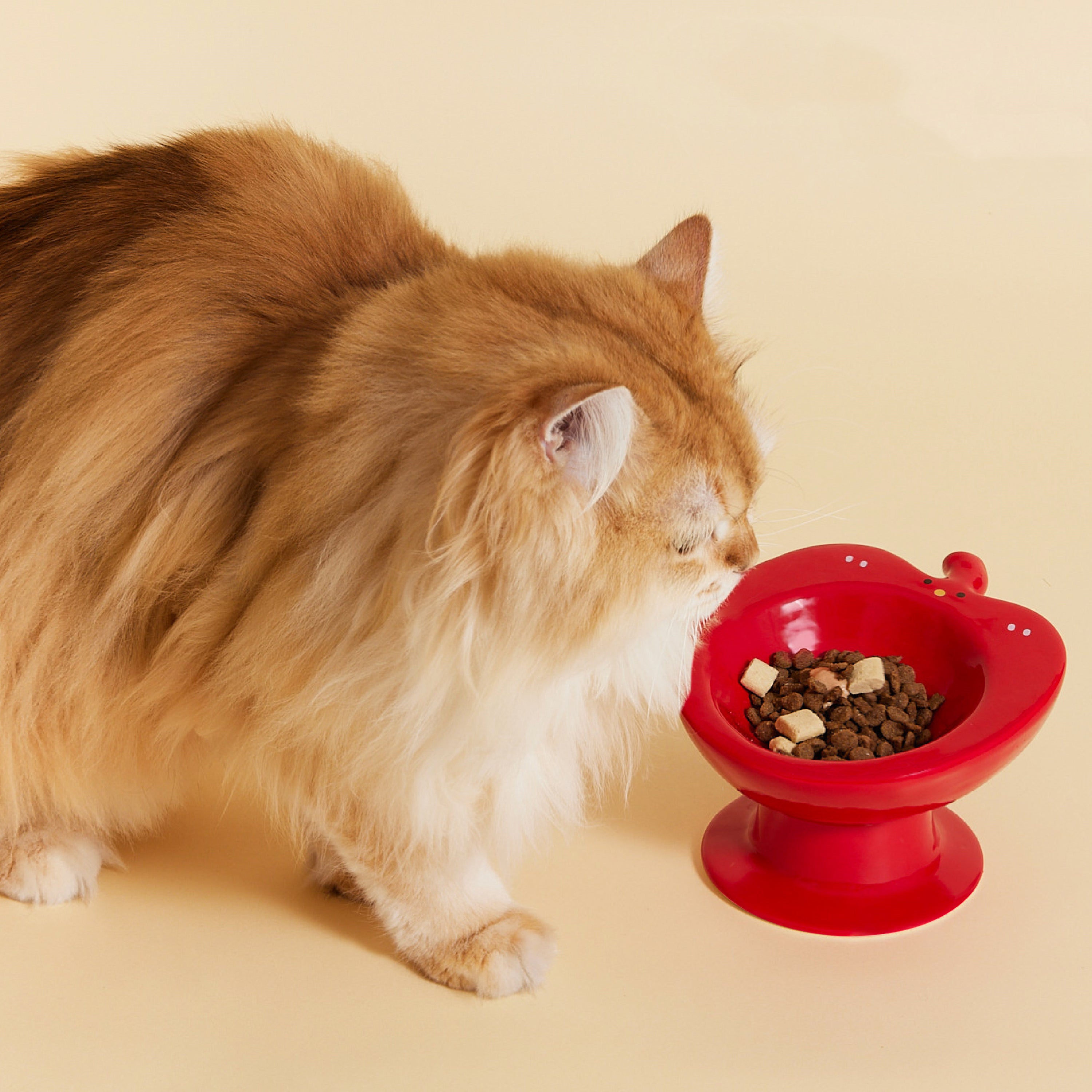 Apple Ceramic Cat Bowl – Elevated Anti-Spill Neck-Protection Feeder