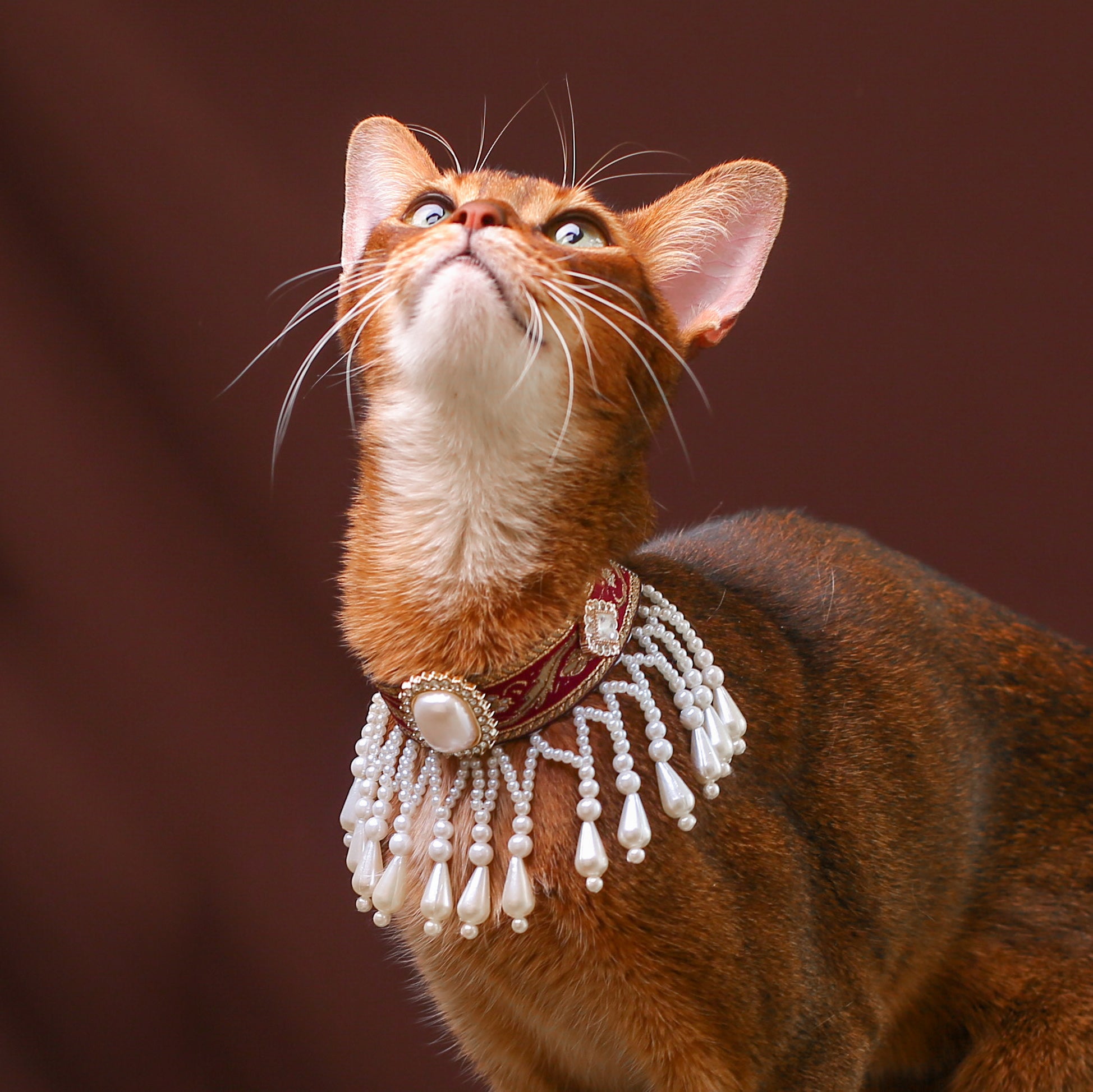 Royal Pearl Tassel Cat Collar