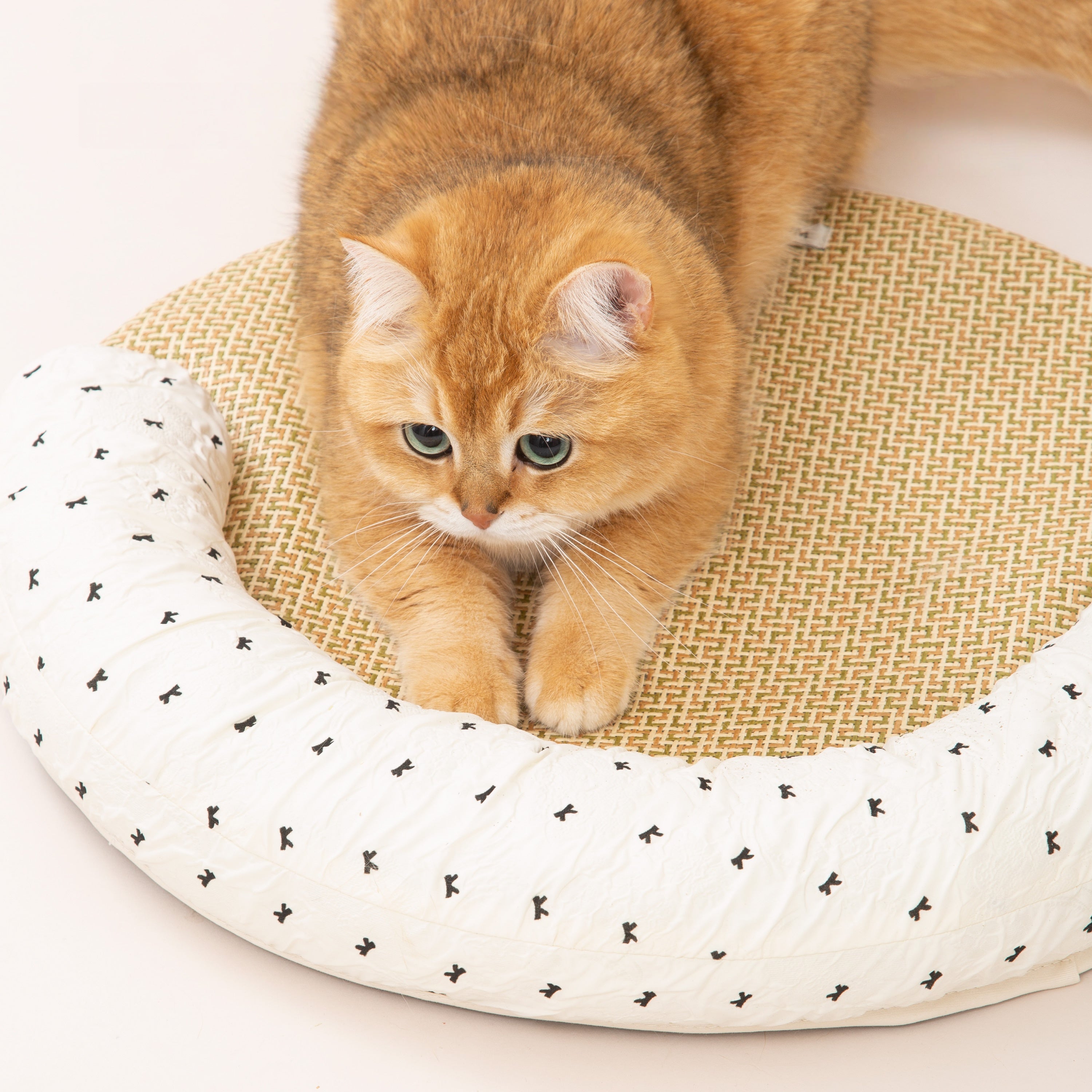 Brisa Cooling Cat Mat – Scratch-Friendly Summer Bed with Pillow