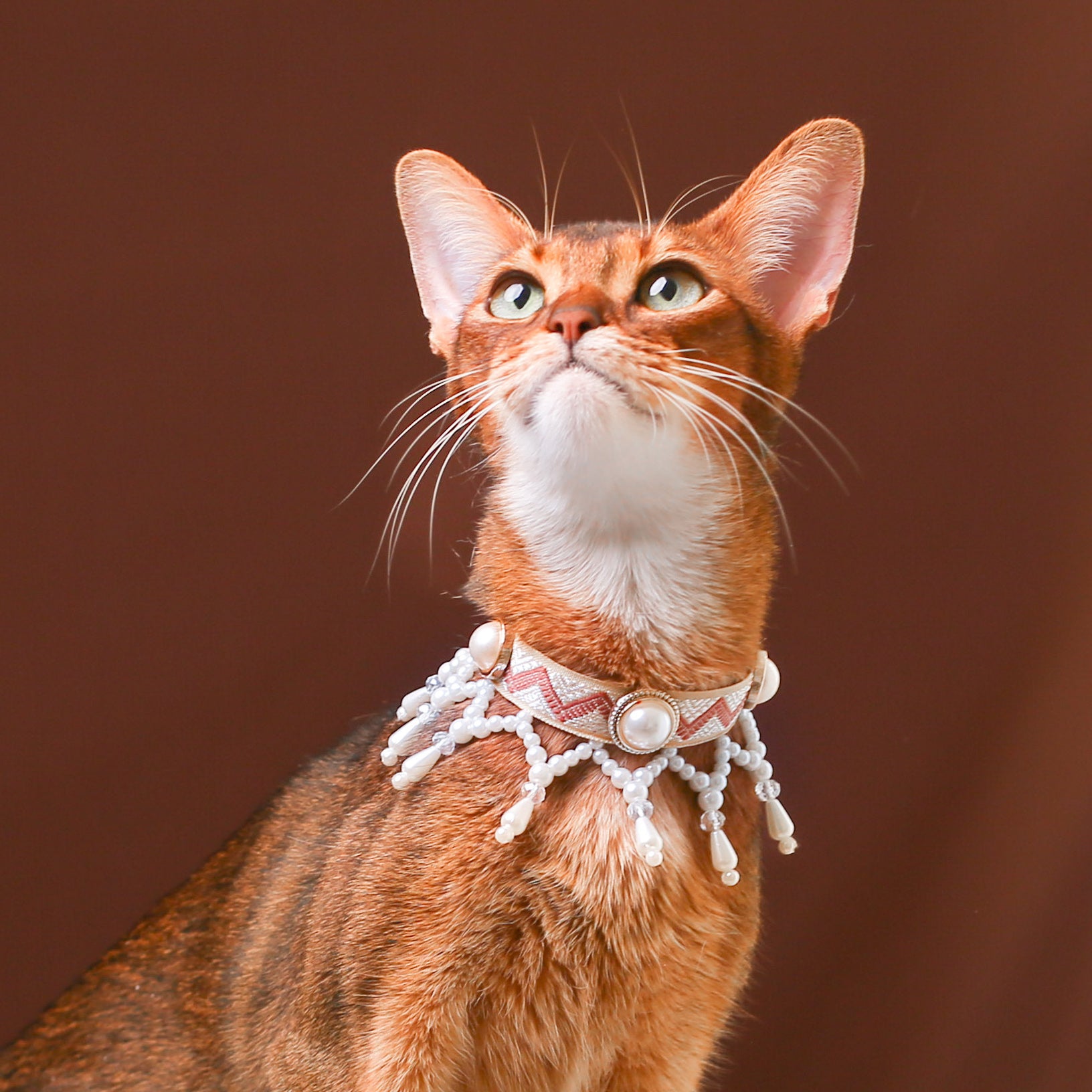 Pearl Princess Cat Collar – Regal Vintage Style