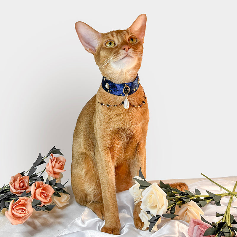 Starry Night Cat Collar