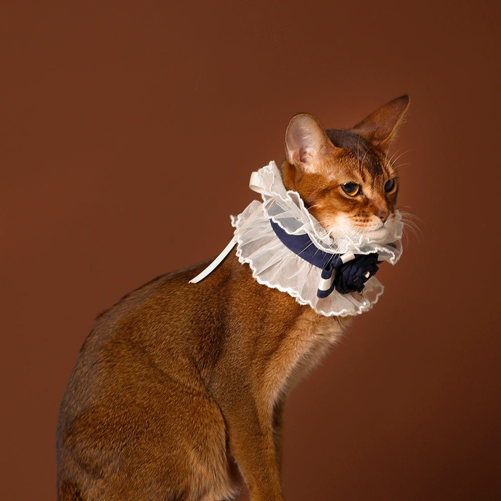 Navy Rose Lace Cat Collar – Victorian Ruffle Style