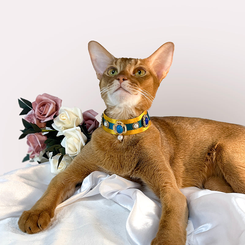 Pharaoh Cat Collar