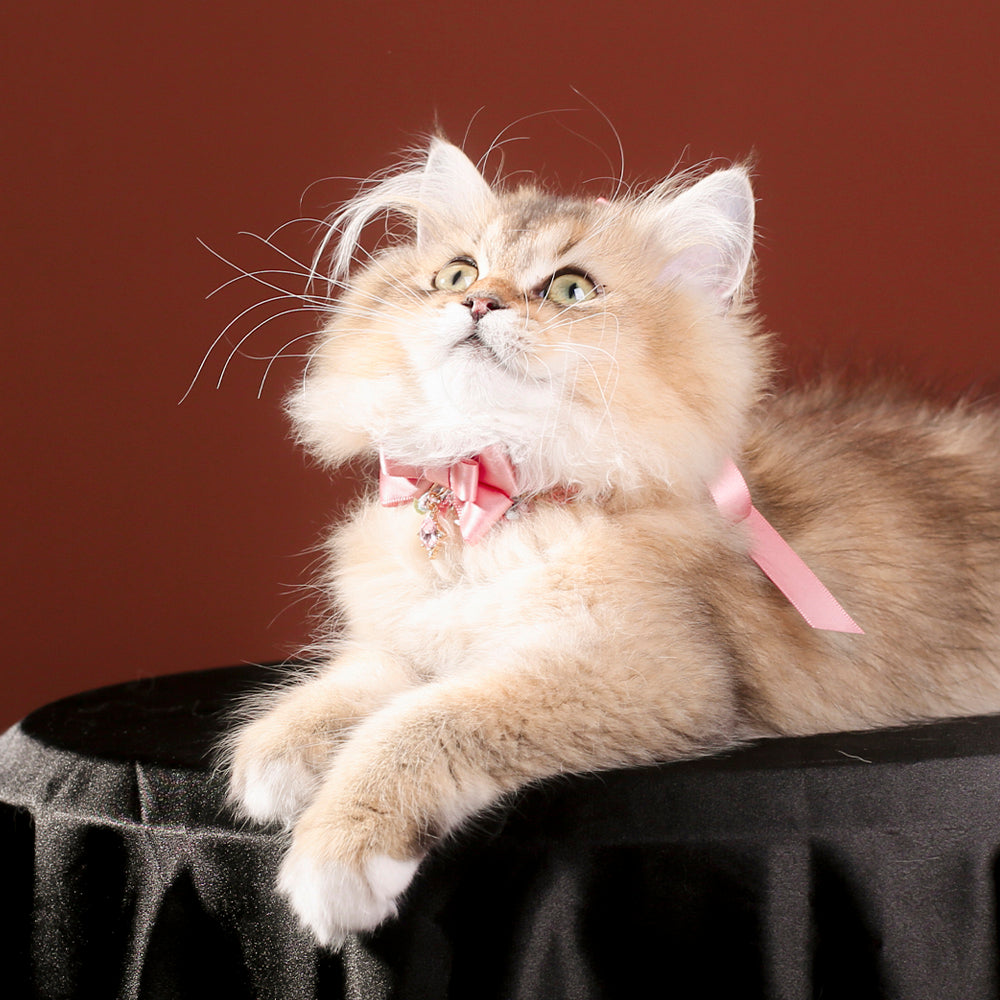Pink Bow Crystal Cat Collar