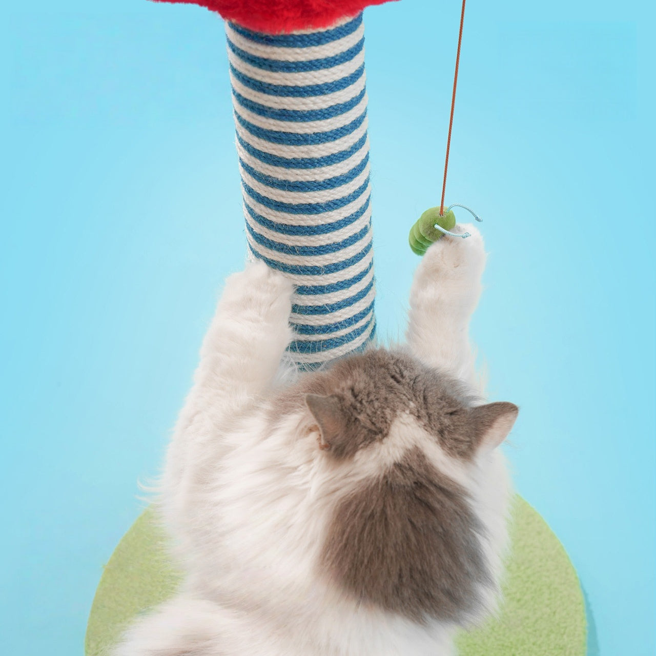Apple Tree Cat Scratching Pole