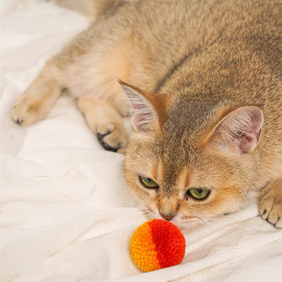 Quiet Yarn Pom-Pom Cat Toy (Set of 6)