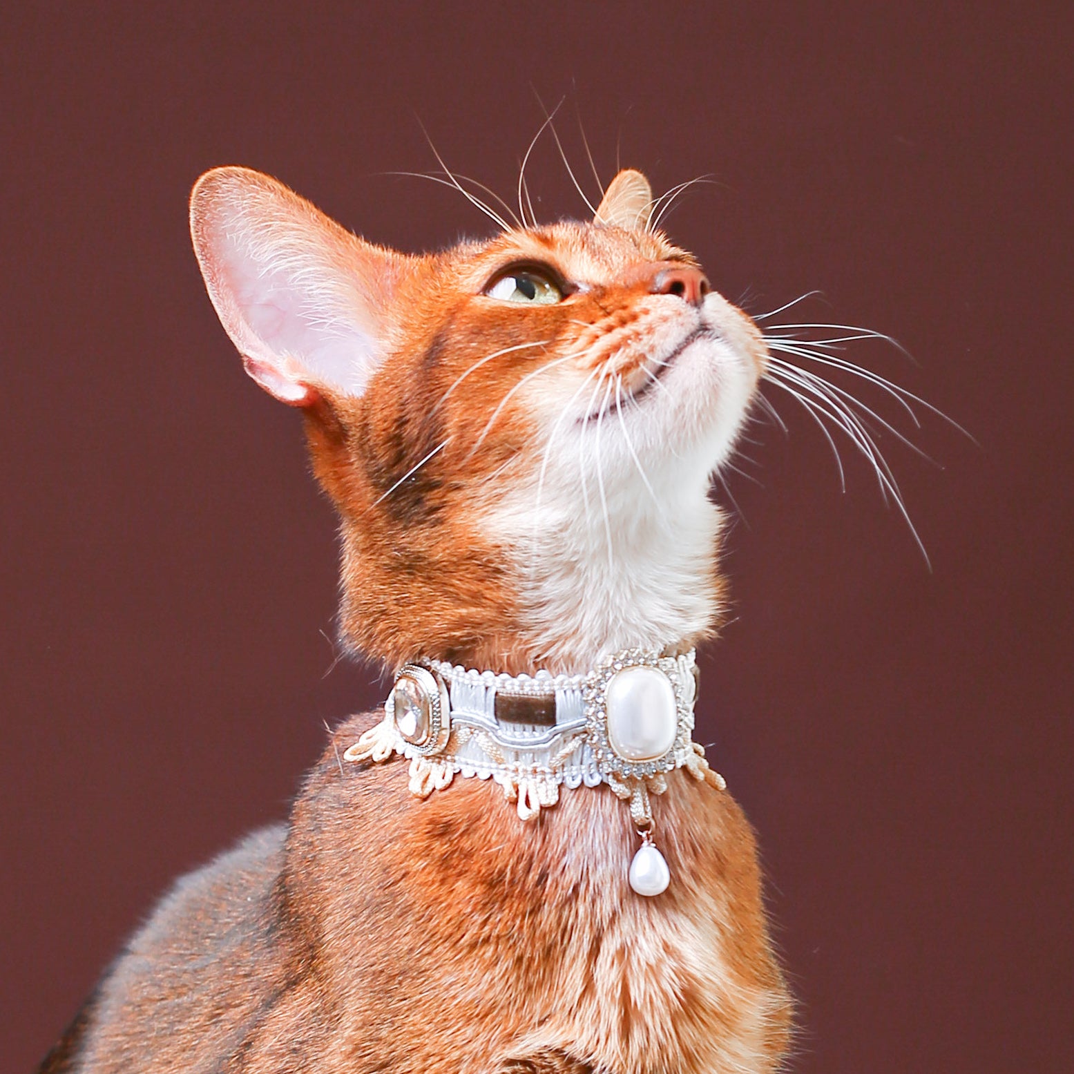 Cat Pearl Victorian Collar