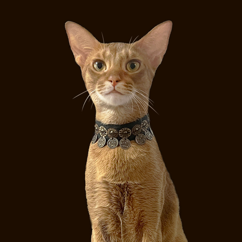 Sunset Cat Necklace