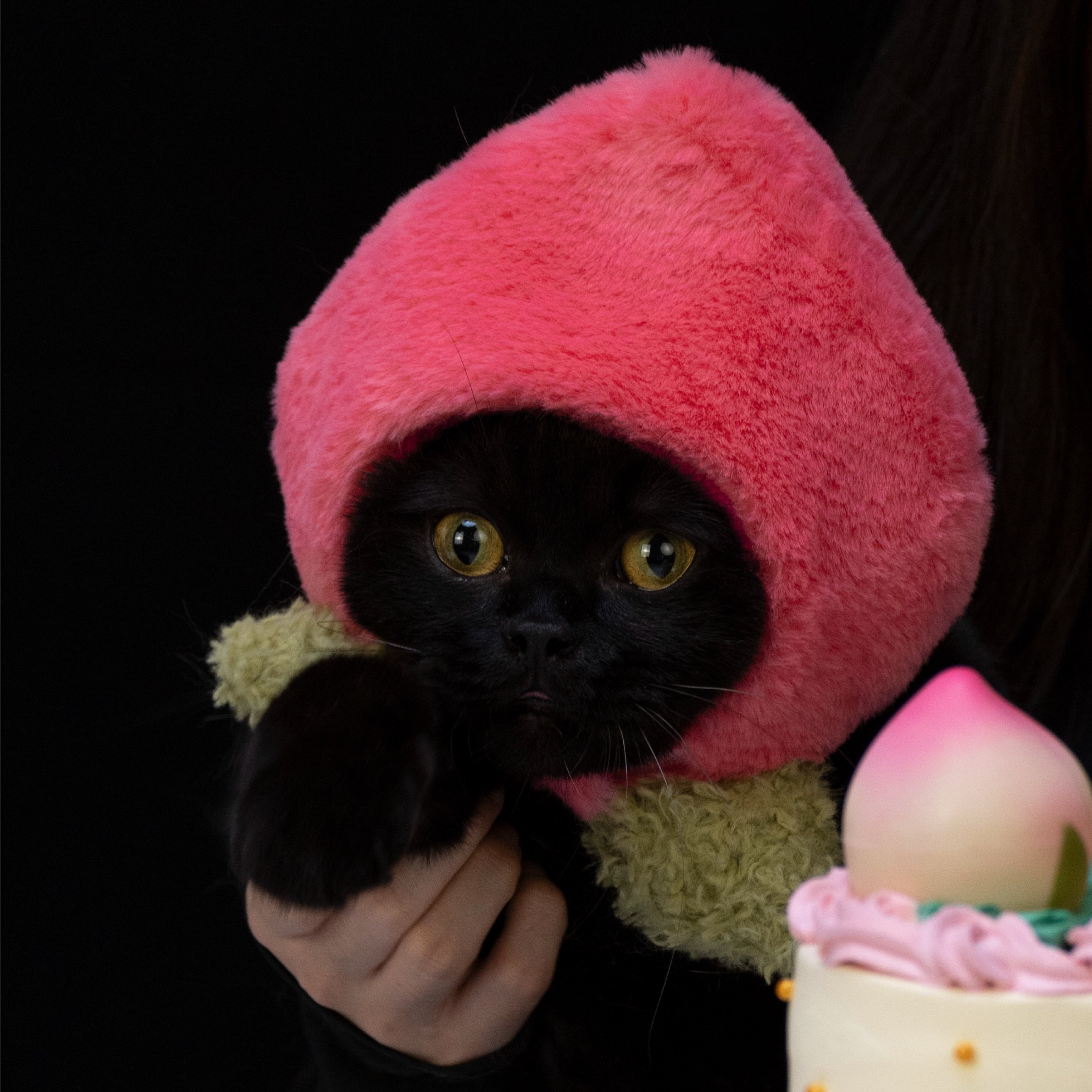 PeachPaw Cat Costume Hat